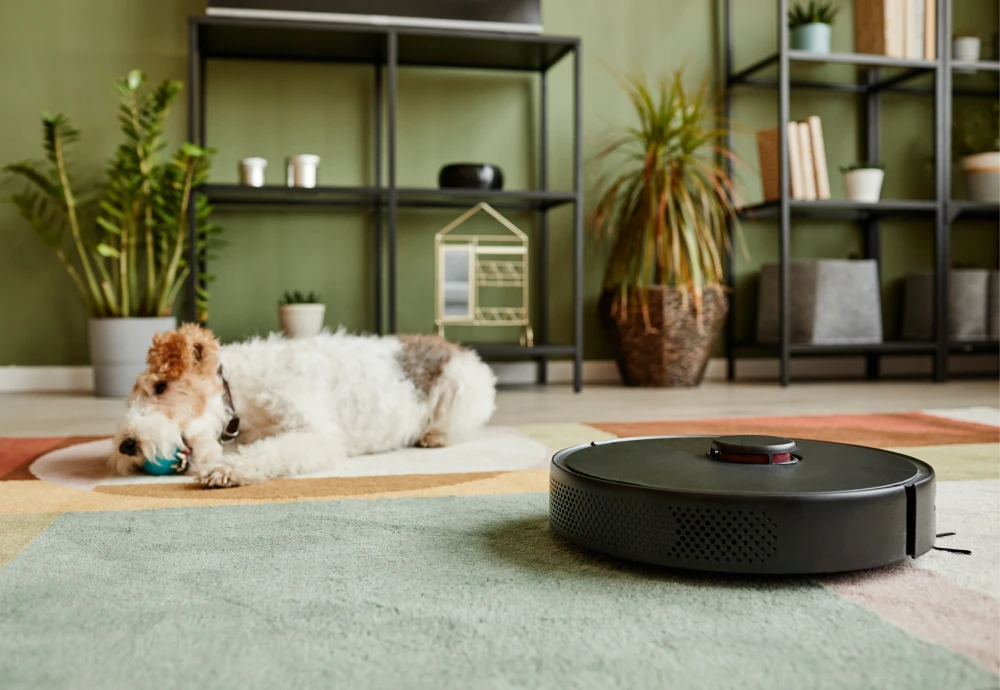 best robotic vacuum cleaner for the money